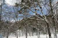 スノーキャンプ2010　in マキノ高原キャンプ場