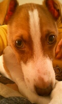 テント 2009/03/21 11:10:18