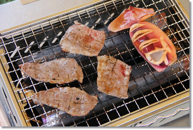 初ソロキャンプ in 大子グリンヴィラ