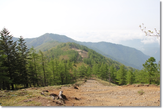 雲取山