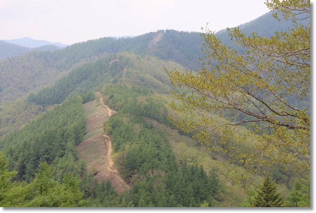雲取山