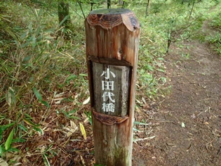 雨の奥日光ハイキング