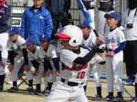 テレビ愛媛杯争奪ジュニアソフトボール大会