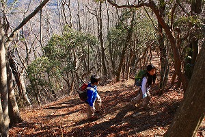 大きい富士山