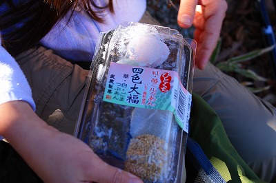 大きい富士山