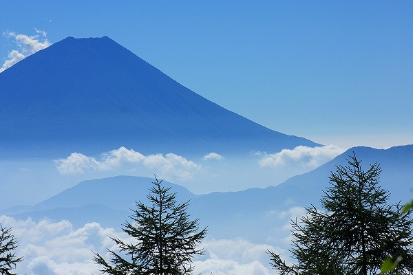 お年賀富士山