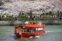 お花見屋形船　飲んだくれツアー