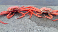 ご無沙汰しております。 2012/06/06 11:33:32