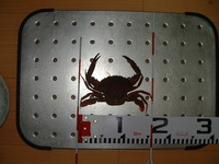 ・・・・・終わった・・・・・ 2012/05/06 21:09:40