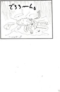 プチ・コウイカ＾＾ 2010/10/26 23:25:48