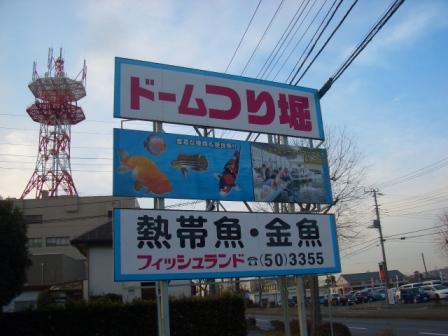 新しい趣味の予感！