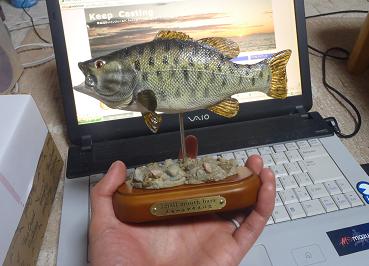 「箱の中は」