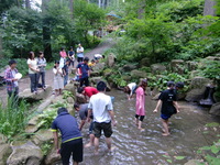 森の中でお盆休み？！ 2009/08/16 17:00:57