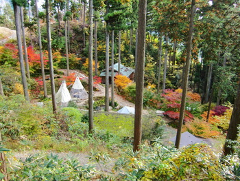 緑・黄・赤の色のコントラストが最高！！