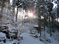 2011年のはじまり・はじまり！！ 2011/01/01 18:35:42