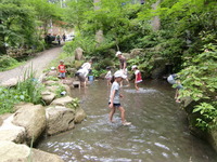 可愛い子たちの、デイキャンプ☆ 2011/07/31 22:44:12