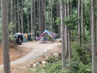 森の木陰で～♪ 2011/08/03 08:27:31