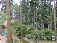 森の中～笑顔がいっぱい！！ 2011/08/06 21:14:02