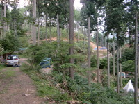 お盆休みの家族の和いろいろ 2011/08/12 20:35:27