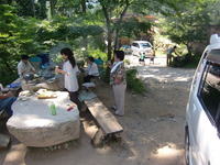 やっぱり。。。木陰は＼(^o^)／ 2012/07/28 07:34:04