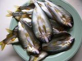 鮎の一夜干し