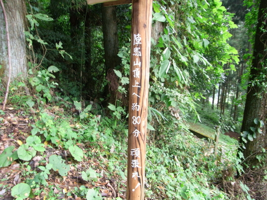 去年の陣馬山