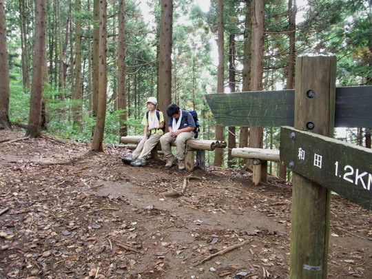 去年の陣馬山