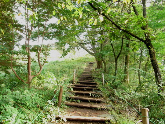 去年の陣馬山