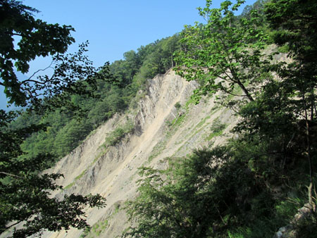 リハビリ廃道 鳥小屋尾根(茶臼岳)　13/08/15～16