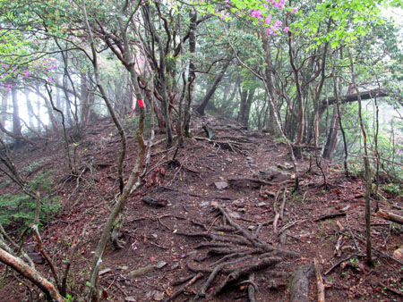 緑の金山跡＆鶏冠山＆大菩薩 (単独日帰り) 12/06/10