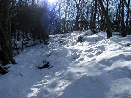 二子山⇒武川岳⇒伊豆ヶ岳　(単独日帰り)　12/02/18