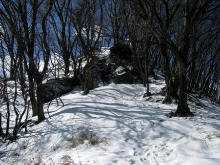 二子山⇒武川岳⇒伊豆ヶ岳　(単独日帰り)　12/02/18