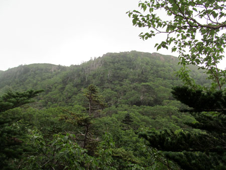 リハビリ廃道 鳥小屋尾根(茶臼岳)　13/08/15～16