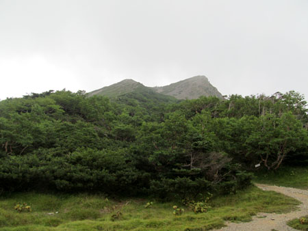 リハビリ廃道 鳥小屋尾根(茶臼岳)　13/08/15～16