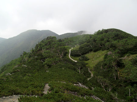 リハビリ廃道 鳥小屋尾根(茶臼岳)　13/08/15～16