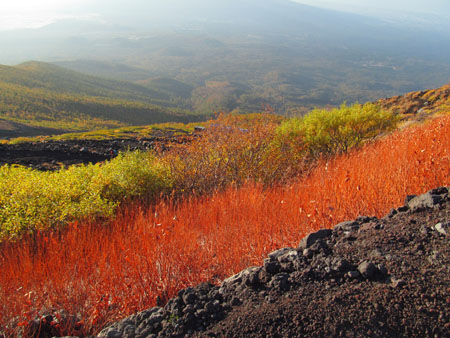 冠雪したので富士山 (単独 日帰り) 12/10/21