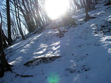 二子山⇒武川岳⇒伊豆ヶ岳　(単独日帰り)　12/02/18