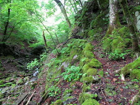 緑の金山跡＆鶏冠山＆大菩薩 (単独日帰り) 12/06/10