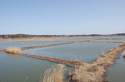 　伊勢志摩エバーグレイズ