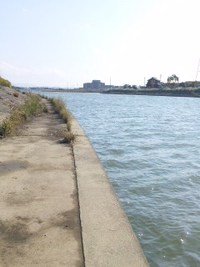 無… 2011/11/20 12:36:30