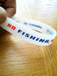 琵琶湖環境保全活動 2012/05/24 11:55:28