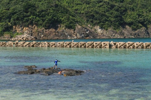 小波の朝♪