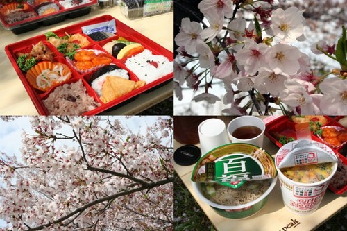 今日もお花見です(^_^)v