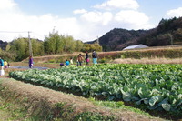 収穫祭　２０１２