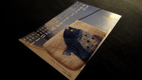 サカナヘンノヒトタチ デノ デアイ