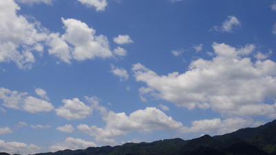初夏を感じて