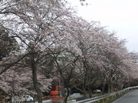 小山町へ 2011/04/10 21:15:39