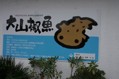 蒜山高原キャンプ場　続編