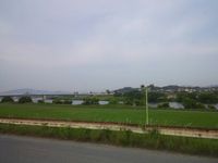 遠賀川〜。 2013/06/05 06:45:00