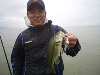 八郎潟ガイド９月５日！５０アップ出現！ 2013/09/06 09:25:06